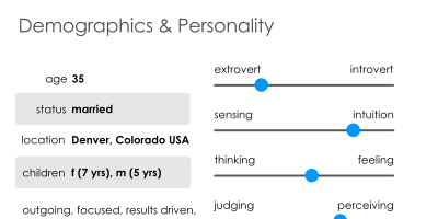 Example Persona